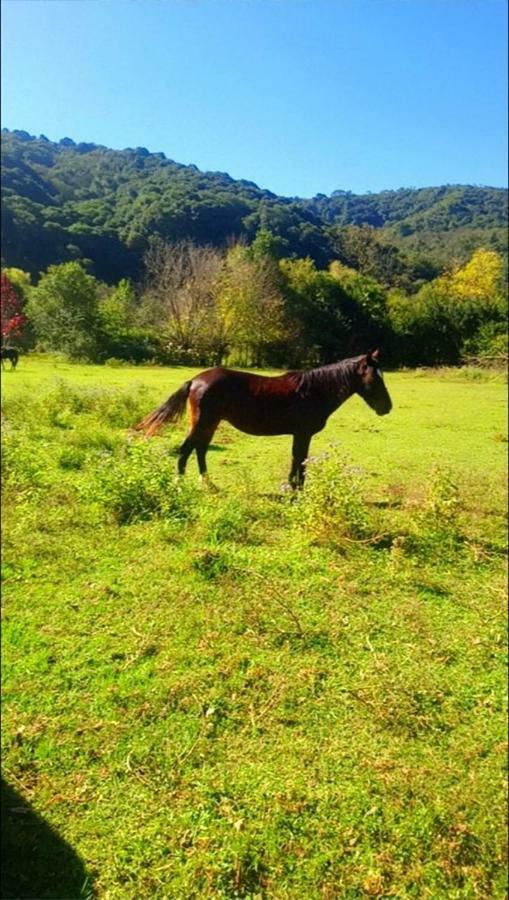 Готель La Casona Del Camino Real Сан-Сальвадор-де-Жужуй Екстер'єр фото